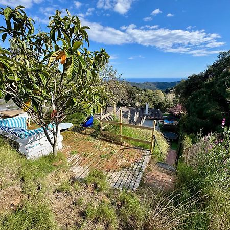 Casa Paraiso Piscina Tranquilidad Sant Cebrià de Vallalta Exteriér fotografie